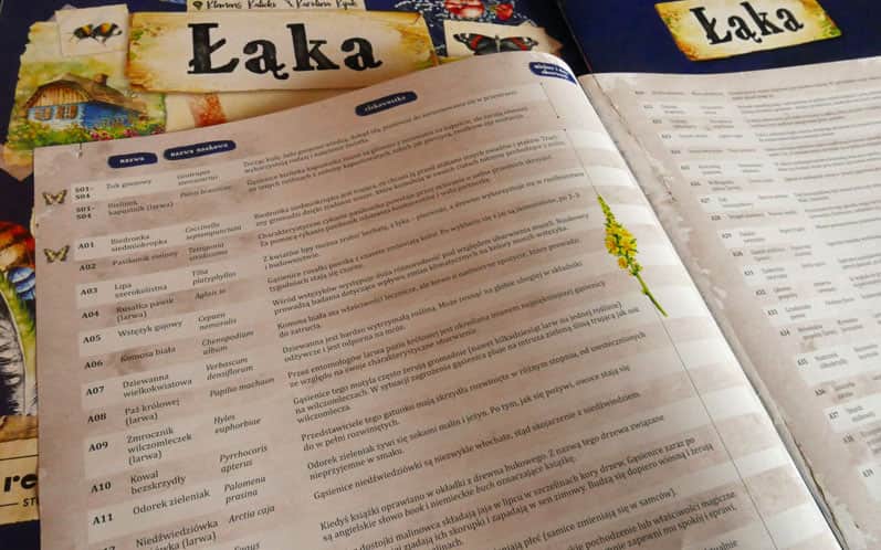 Gra Łąka, wyd. Rebel