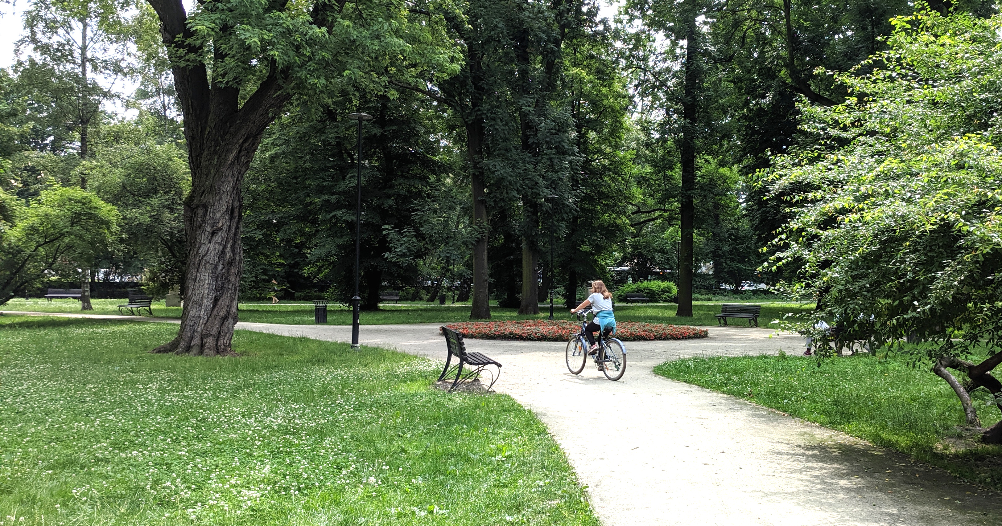 Park Krakowski - scieżki