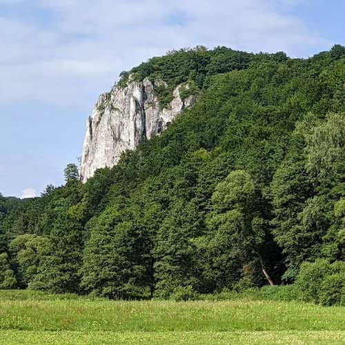 Dolina Będkowska