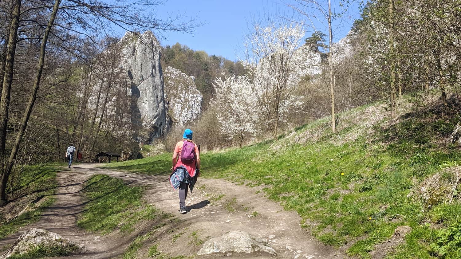 Entrance to the Bolechowicka Valley from the Bolechowice side