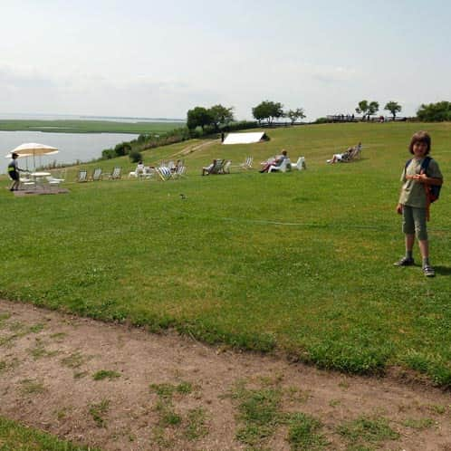 Hillfort in Lubin