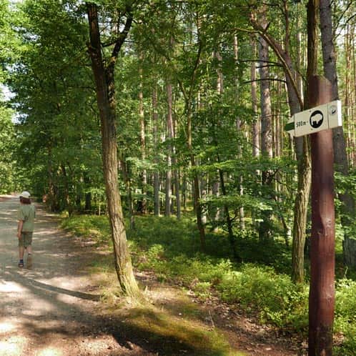 Walking and cycling green trail, Międzyzdroje - Bison Farm - Warnowo
