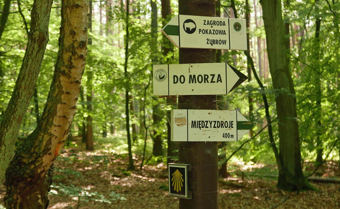 Wyspa Wolin, zielony szlak