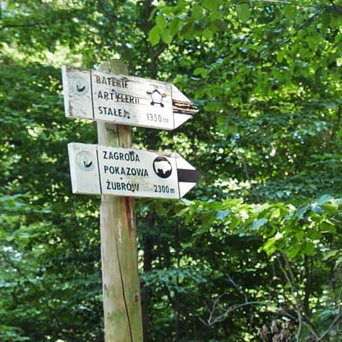 The Black trail in Międzyzdroje