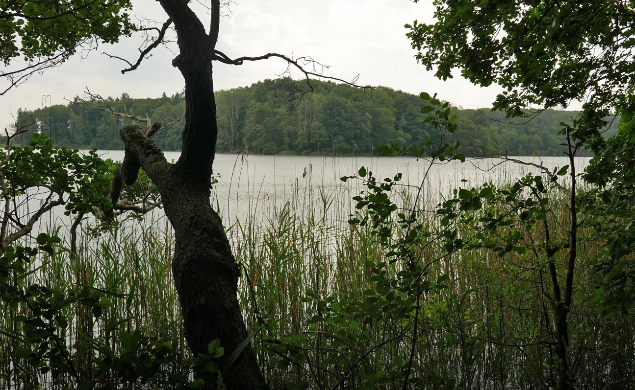 Wyspa Wolin, Jezioro Czajcze