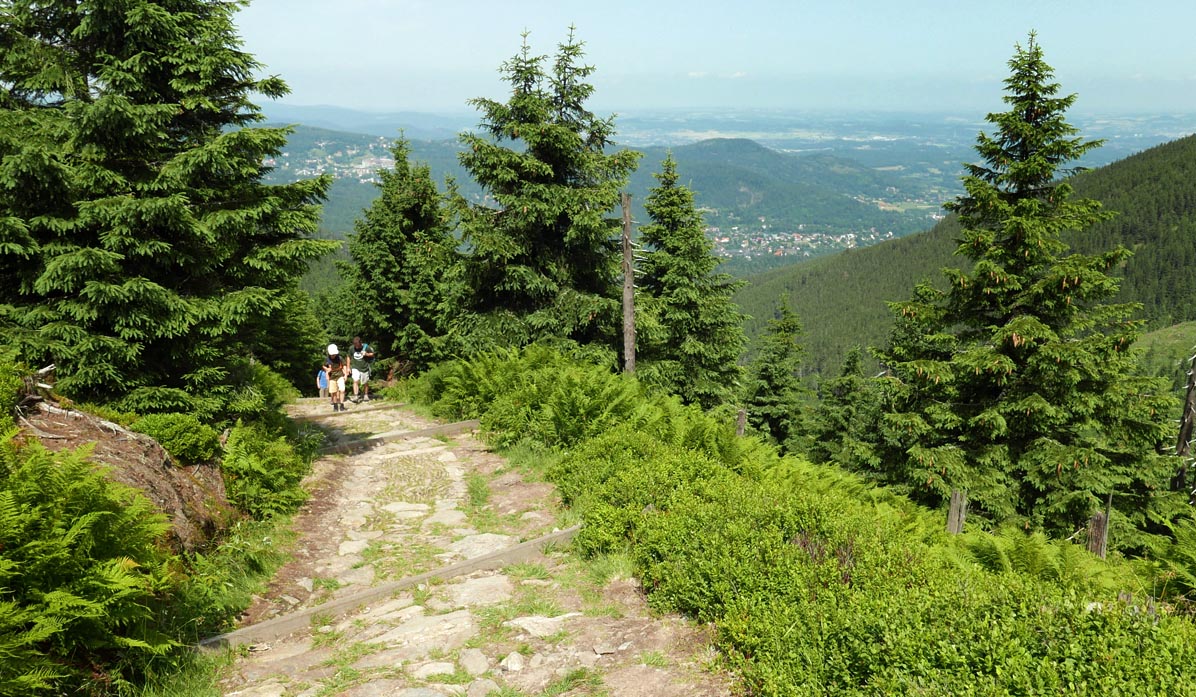 Sowia Dolina - black trail, view of Karpacz
