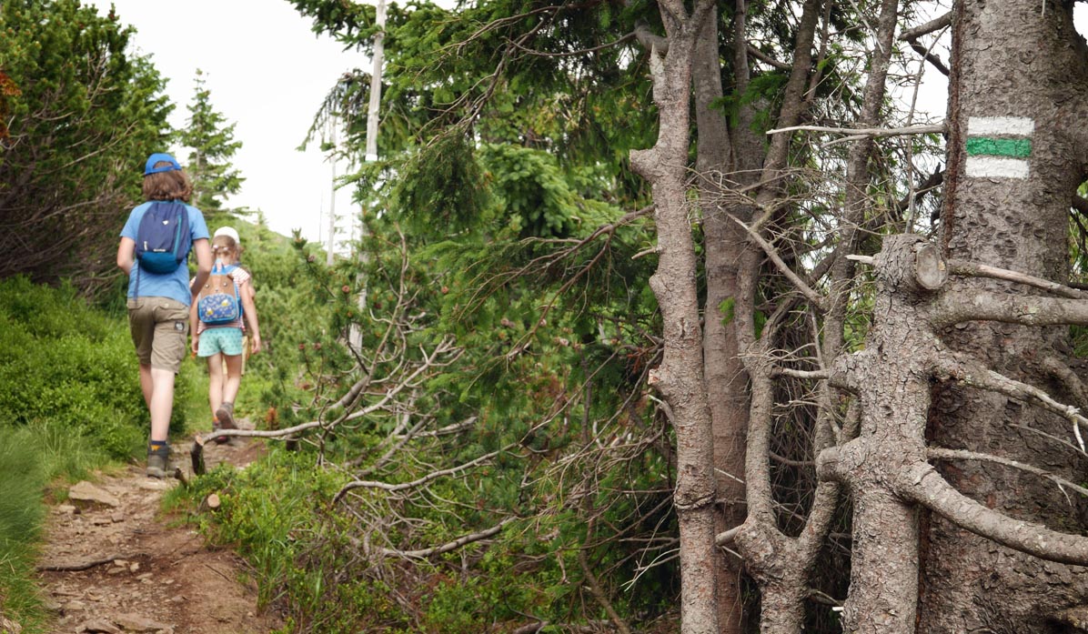 Travers - green trail to Śnieżka