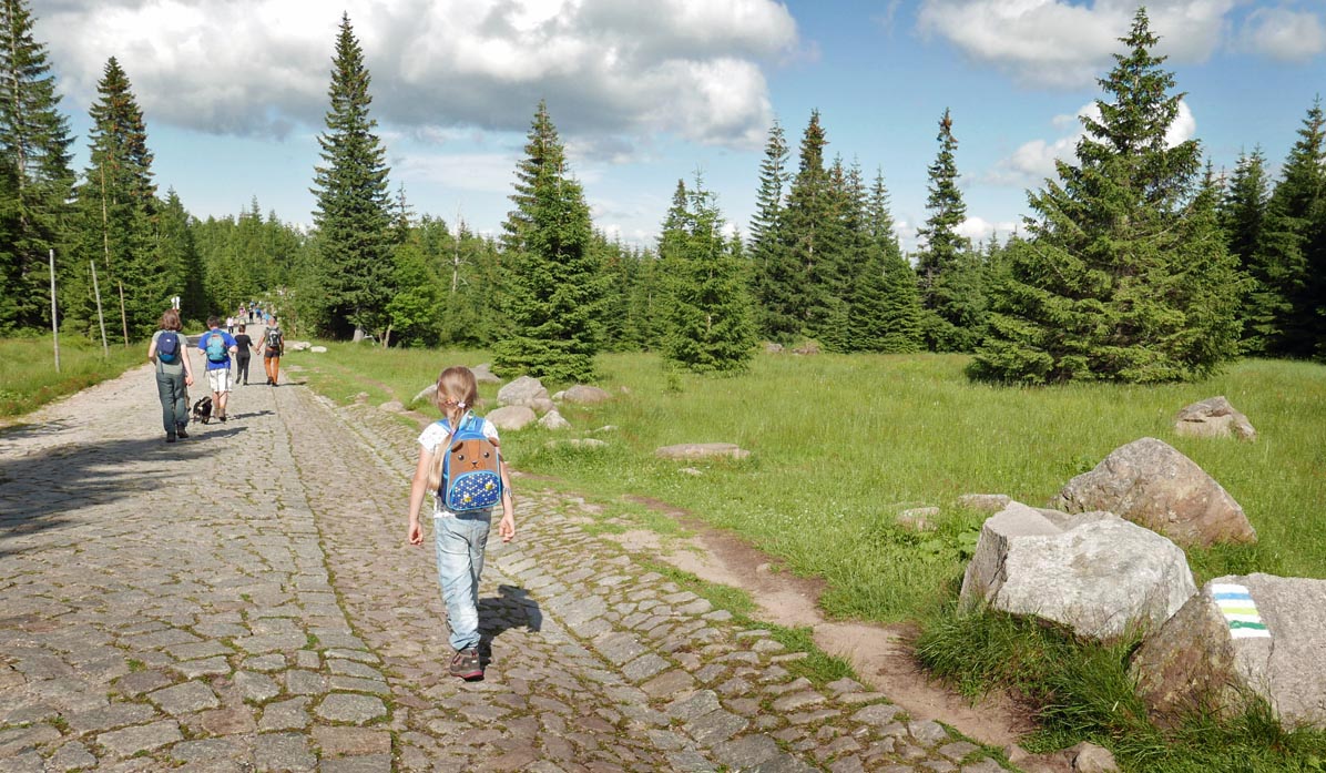 Path to Śnieżka from Karpacz