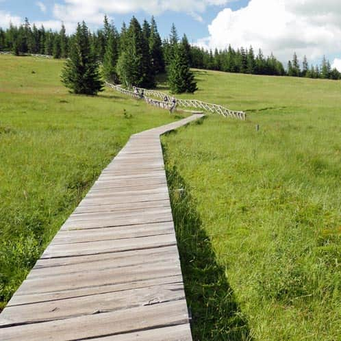 Meadow on the way to Śnieżka