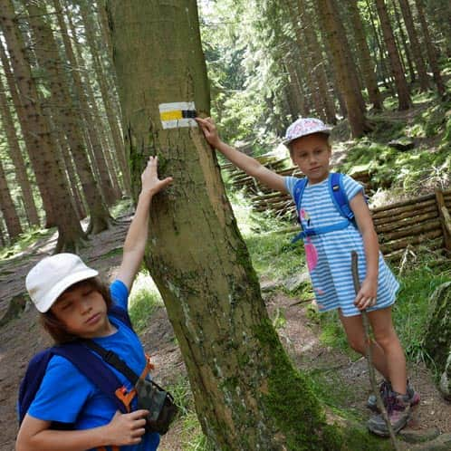 Karpacz - Borowice. Loop on the black and green trail