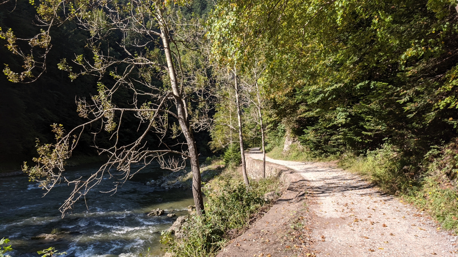 Pieniny Road on the Slovak side