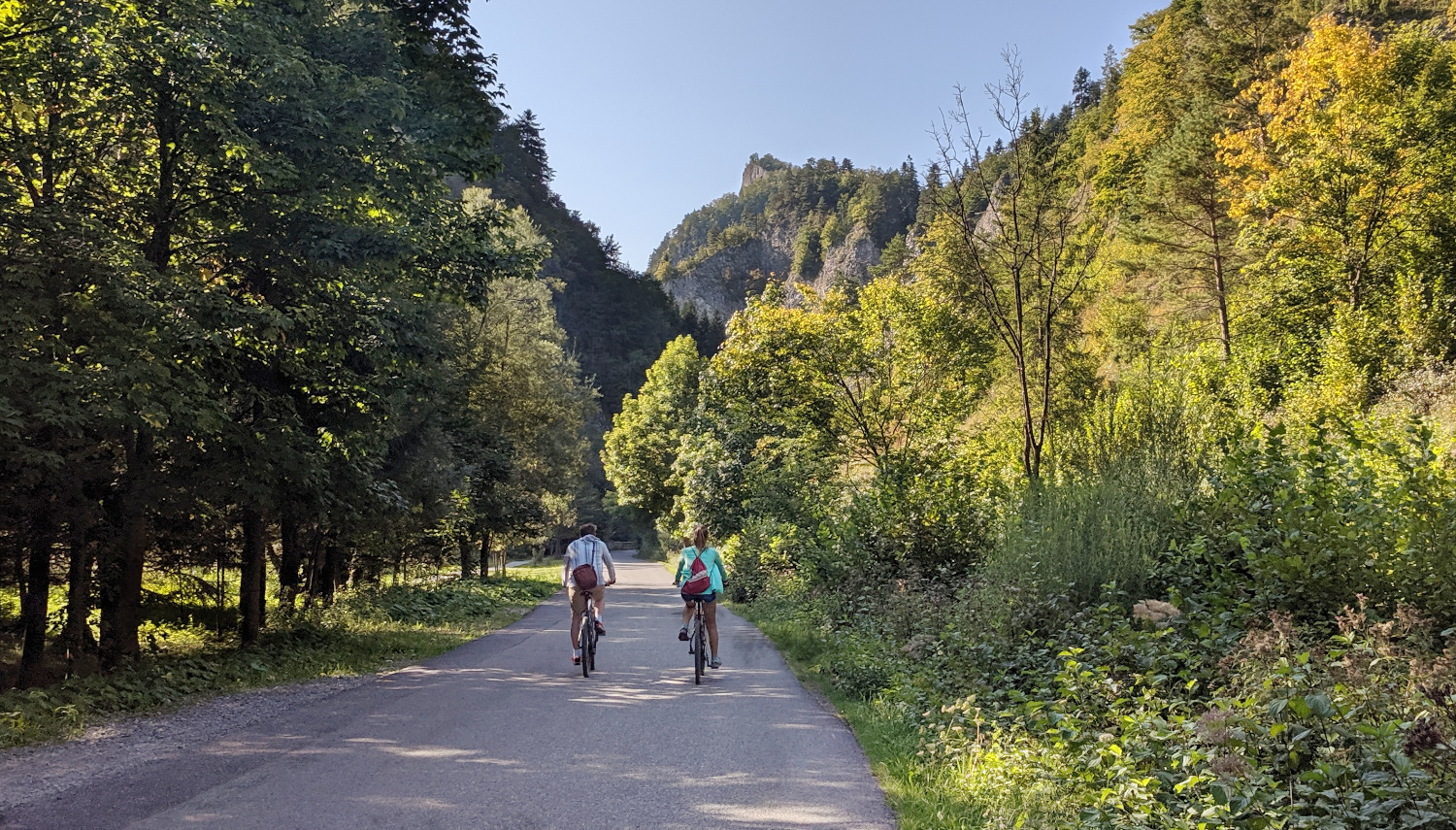 Road near Pienińska Chata