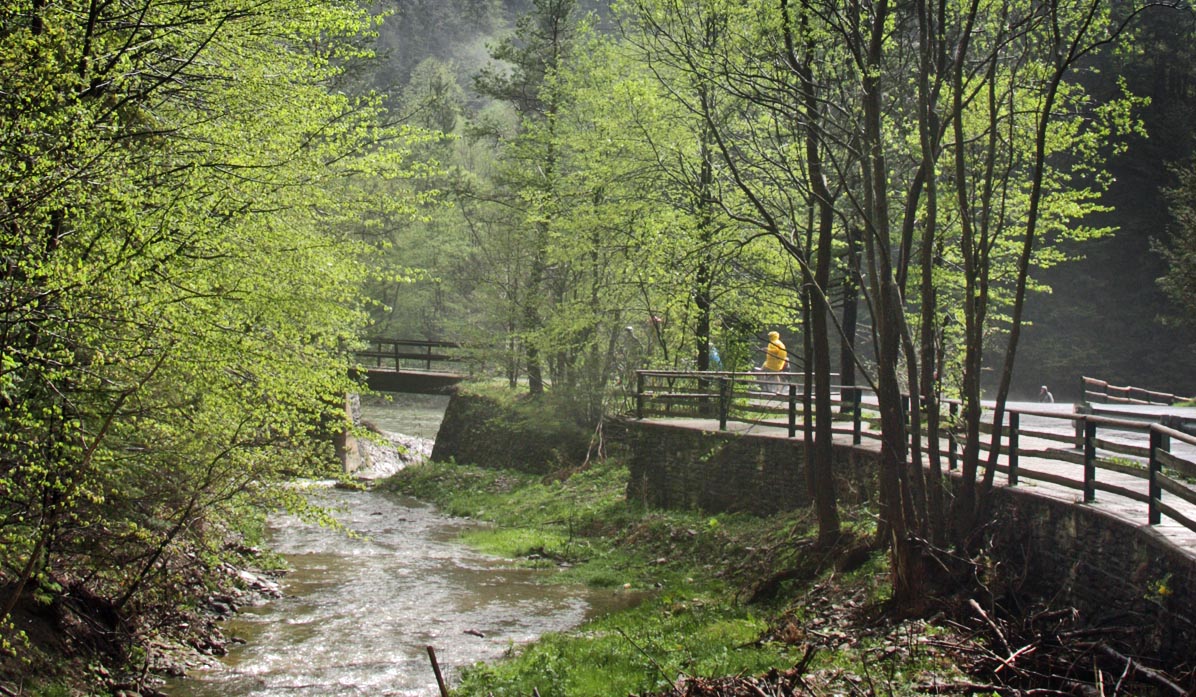 Pedestrian path along Leśnicki Potok