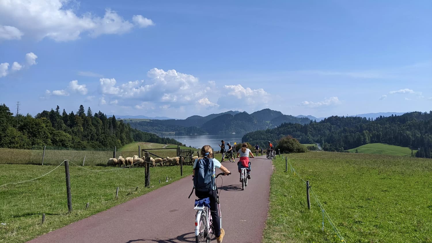 Velo Czorsztyn - odcinek przy Nidzicy, jeden z najbardziej malowniczych odcinków trasy