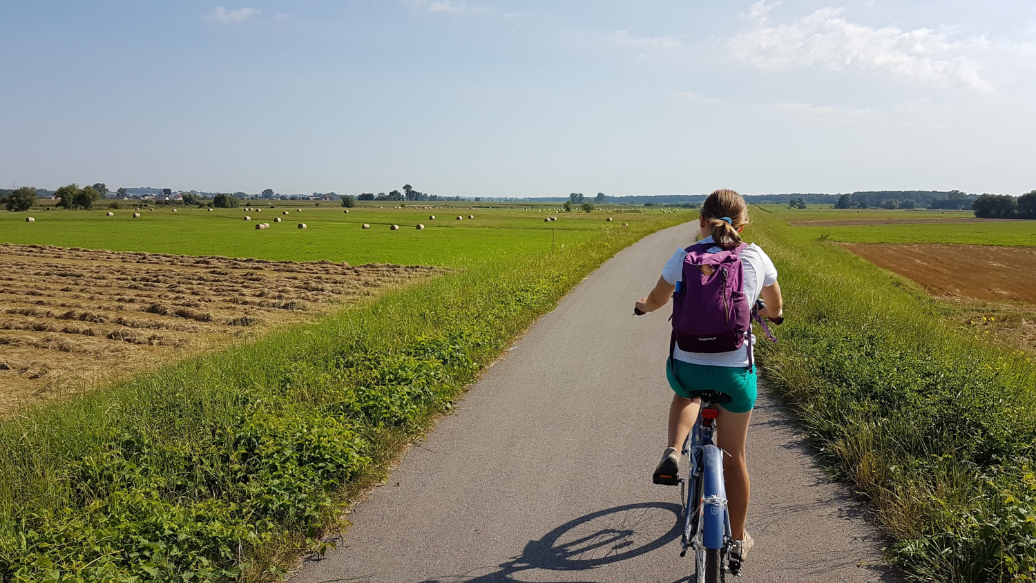 Vistula Bike Route Niepolomice - Grobla