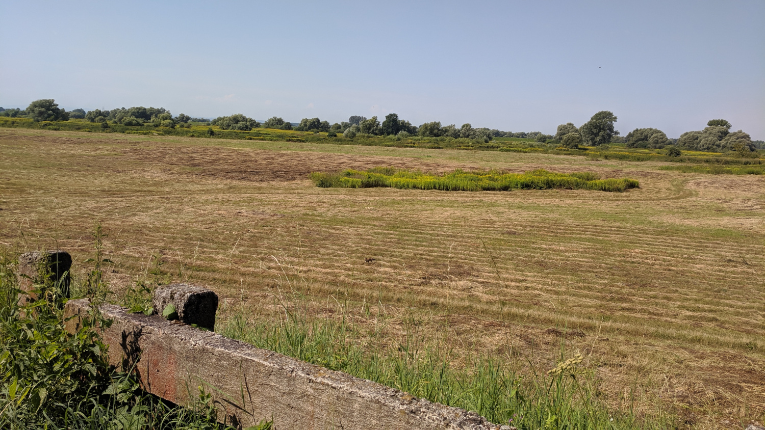 Vistula Bike Route Niepolomice - Grobla