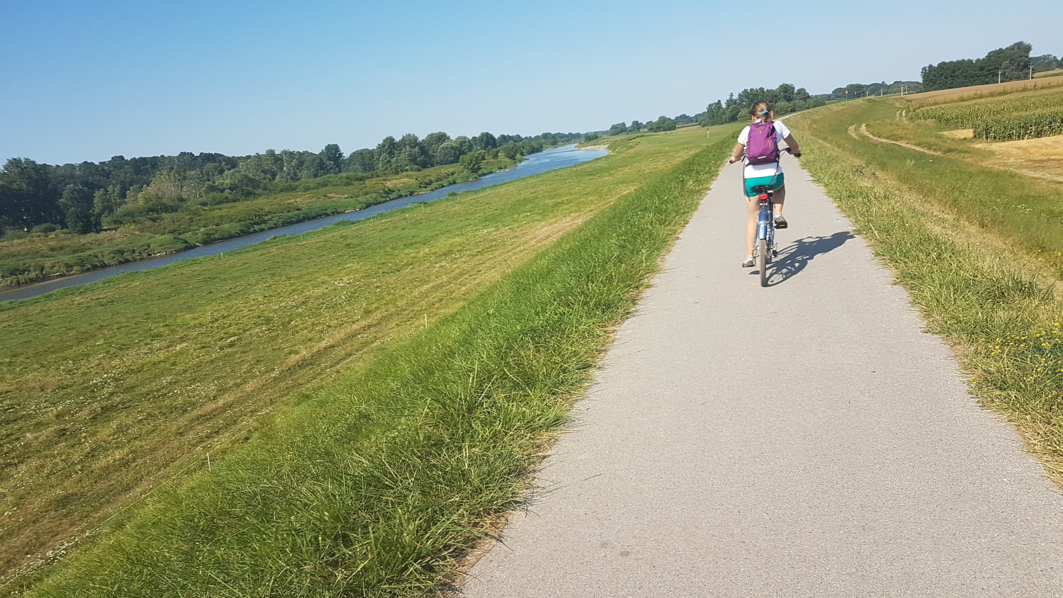 Vistula Bike Route Niepolomice - Grobla
