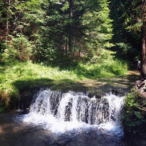 Szumy nad Tanwią