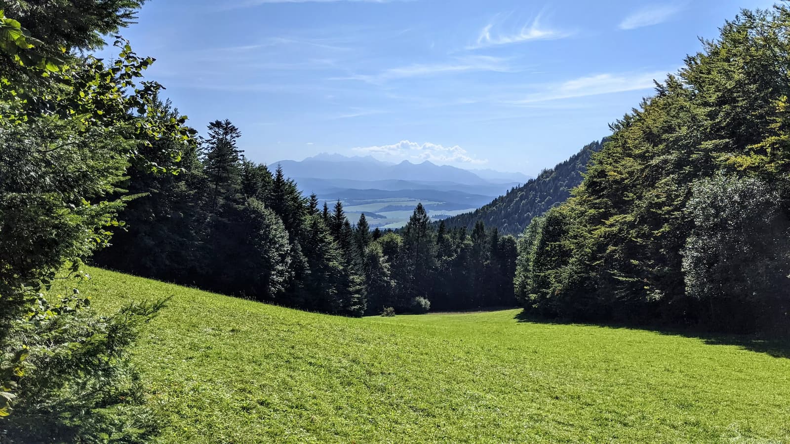 Przełęcz Szopka - widok na Tatry
