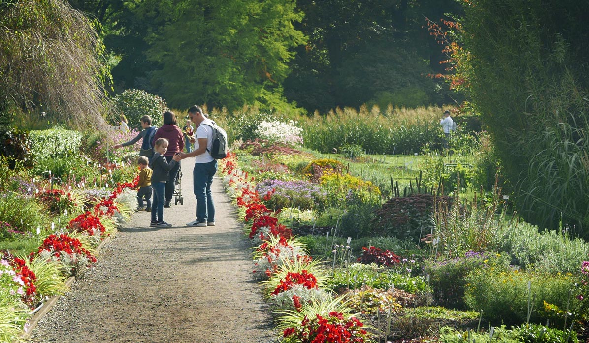 Jagiellonian University Botanical Garden