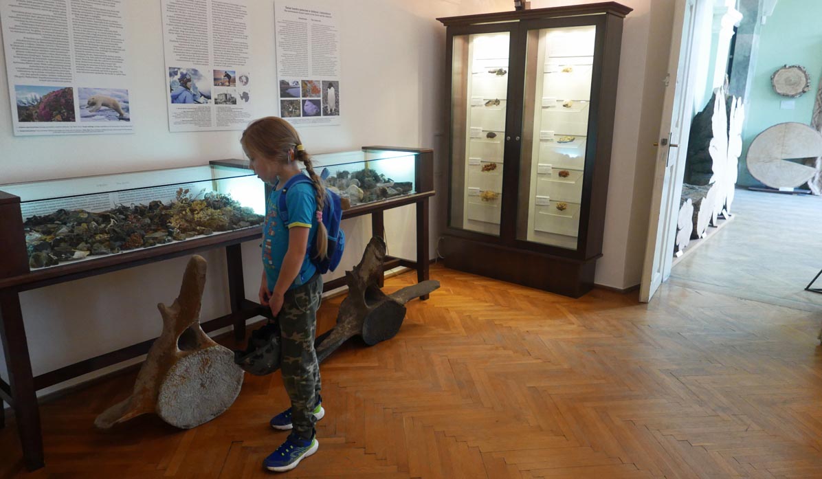 Jagiellonian University Botanical Garden - Botanical Garden Museum