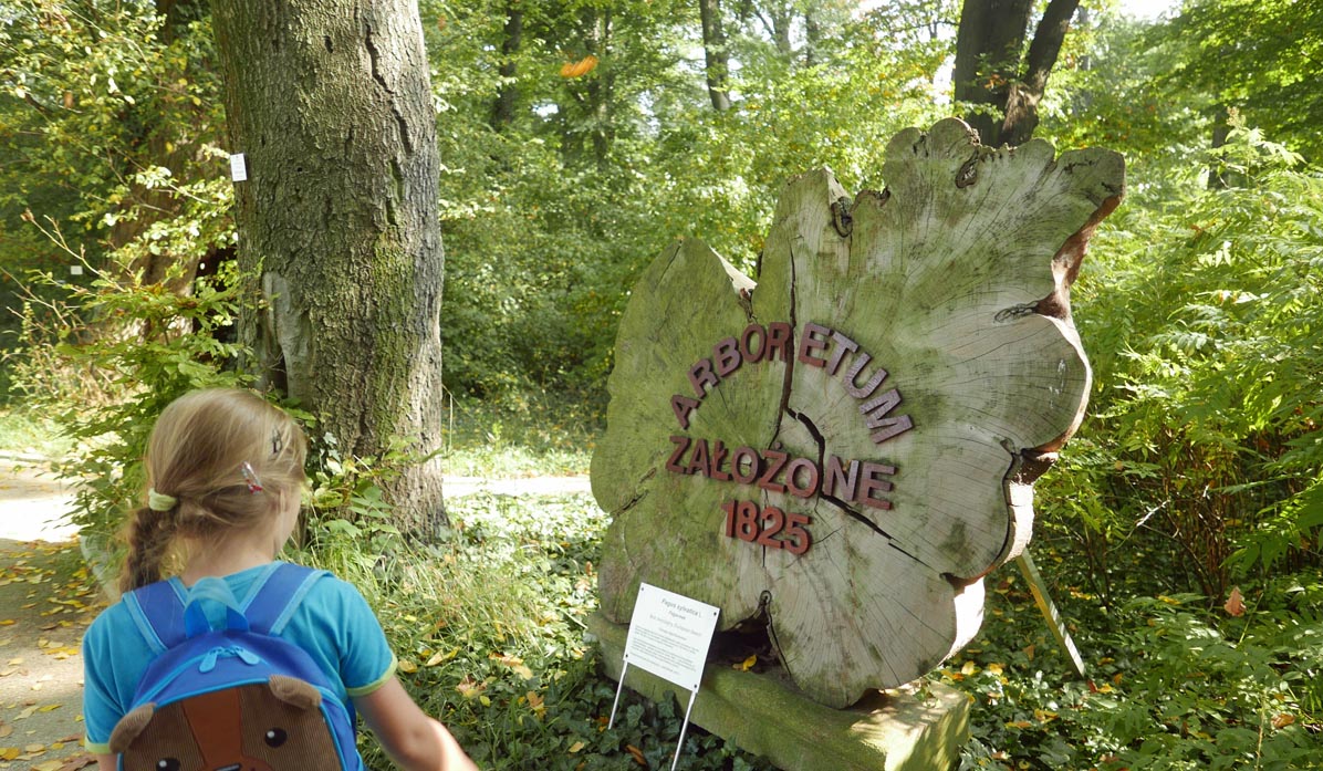 Jagiellonian University Botanical Garden - arboretum