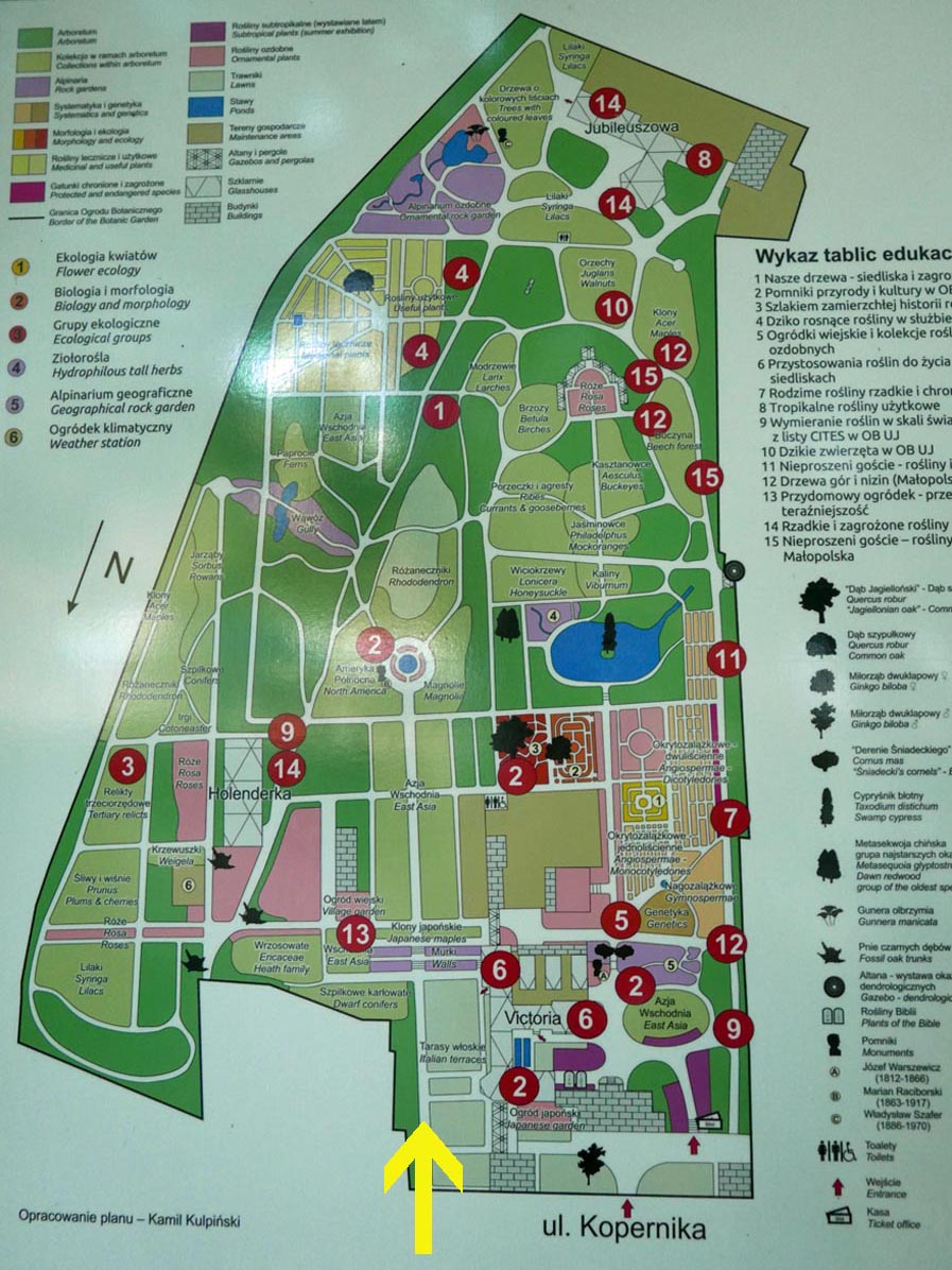 Jagiellonian University Botanical Garden - garden plan