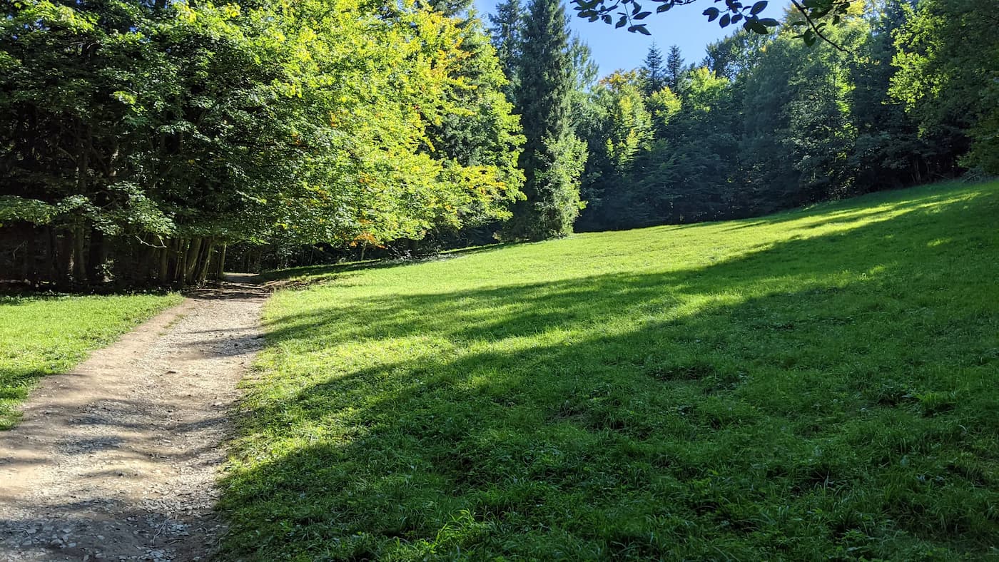 Szlak do zamku pienińskiego