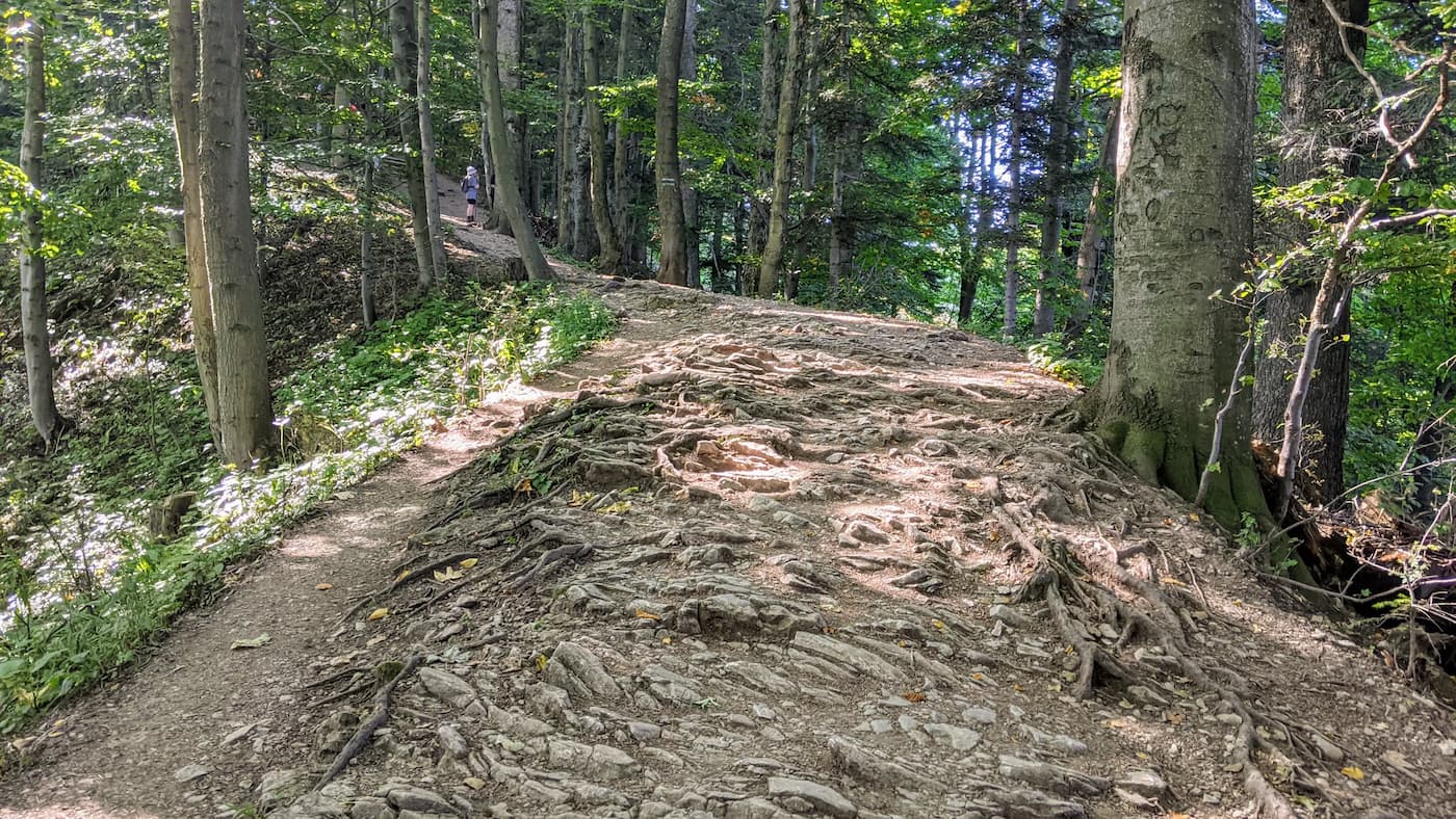 Szlak z zamku Pieniny na Trzy Korony