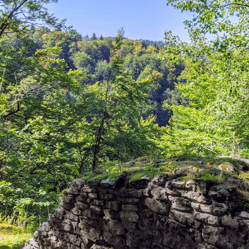zamek pieniny