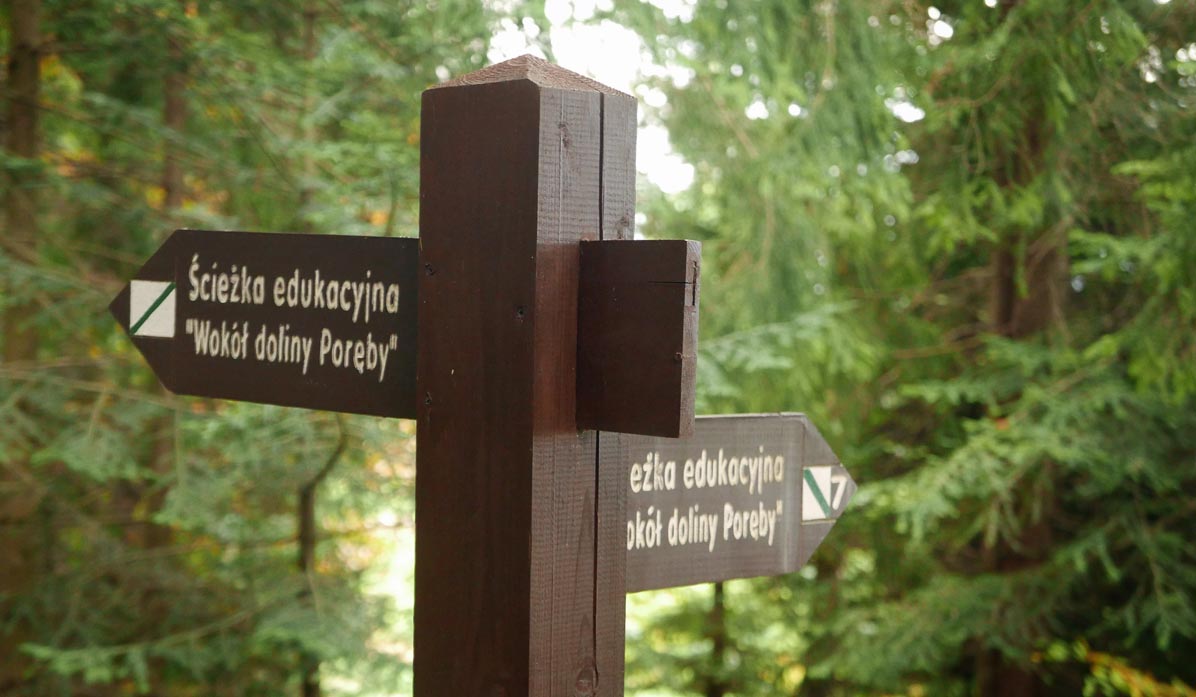 Loop: Stare Wierchy - Maciejowa: educational trail 
