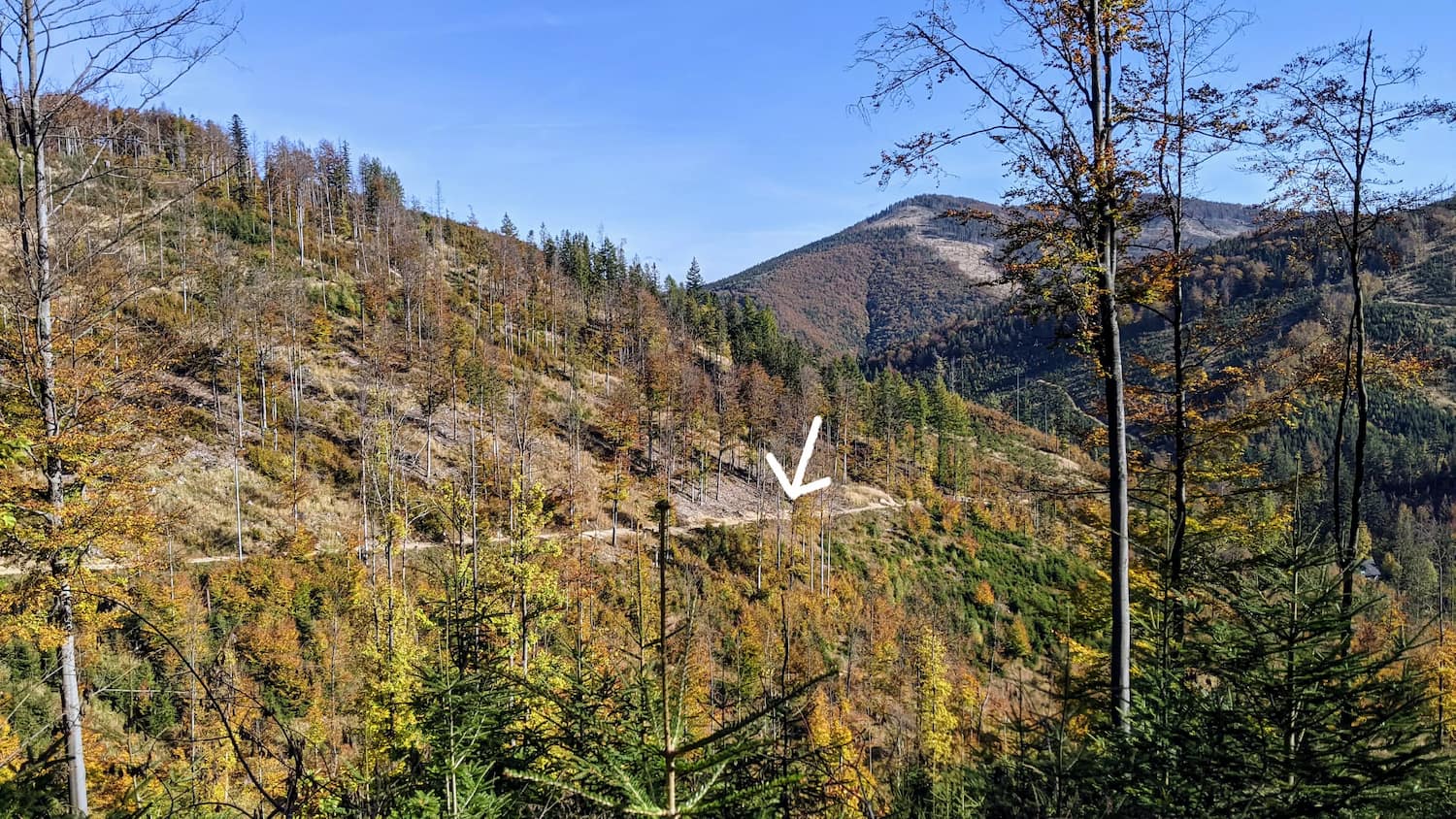 Wielka Racza - żółty szlak