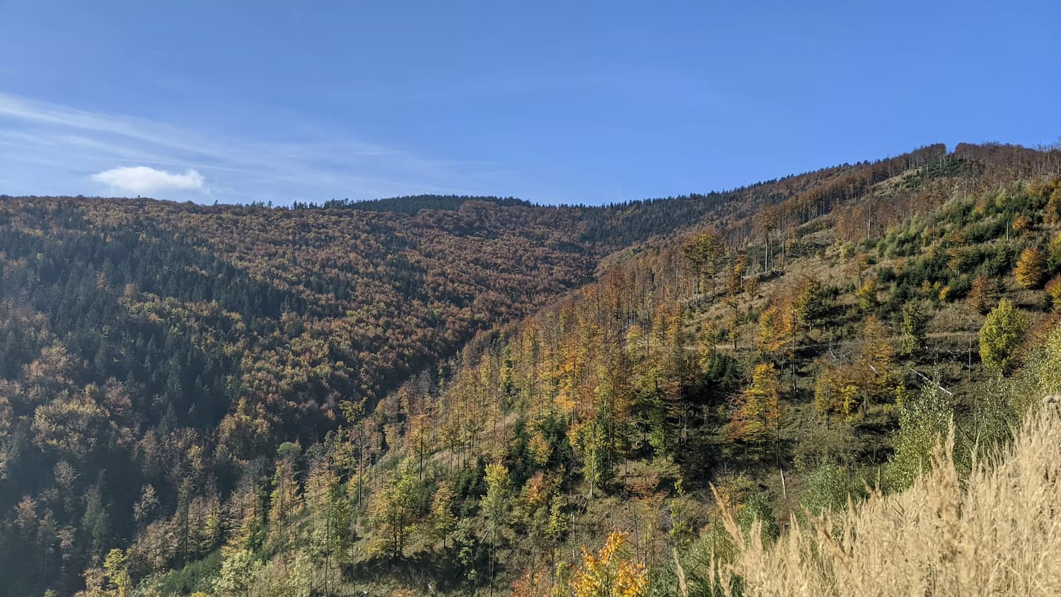 Wielka Racza - widoki ze szlaku