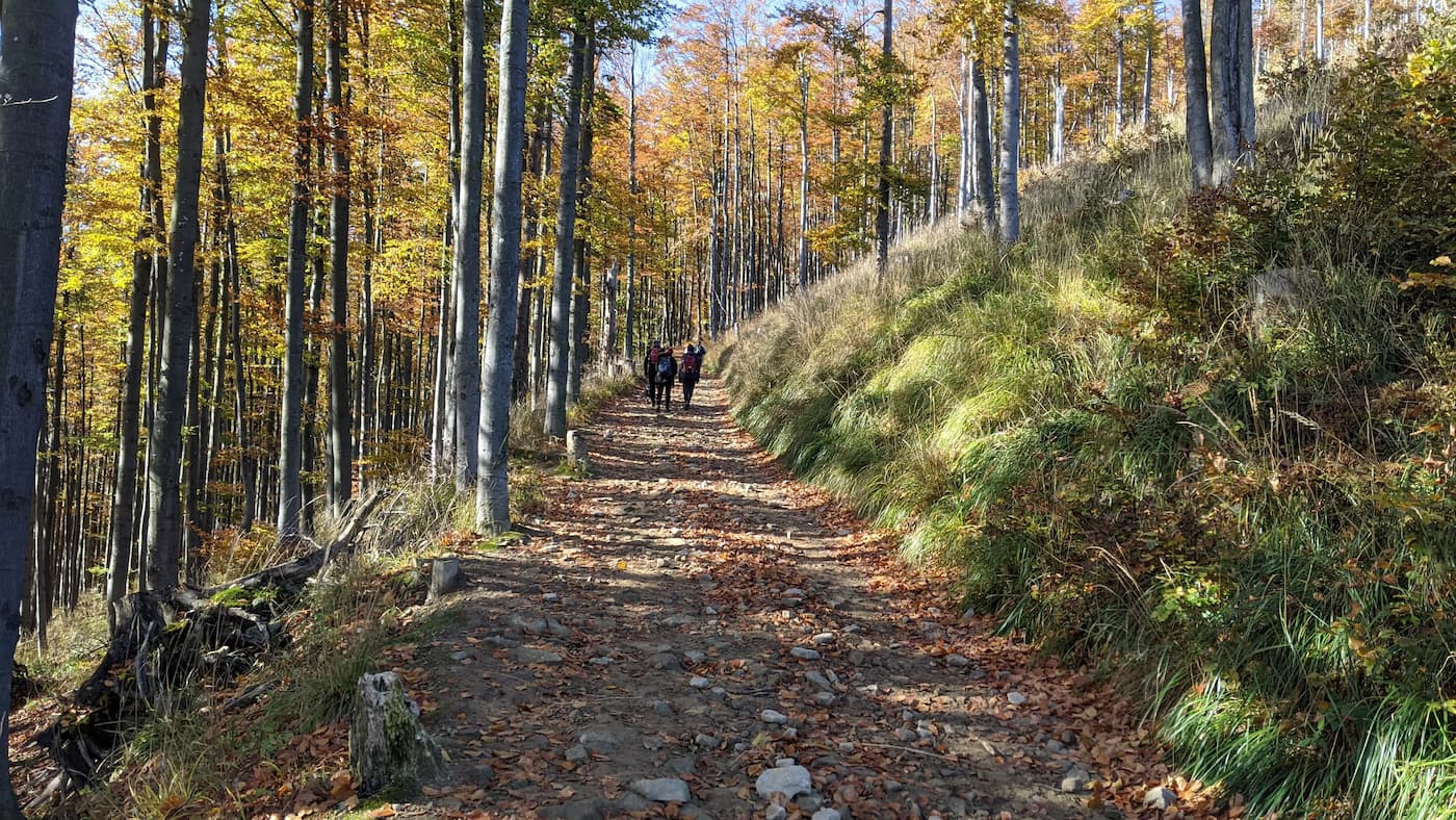 Wielka Racza - żółty szlak