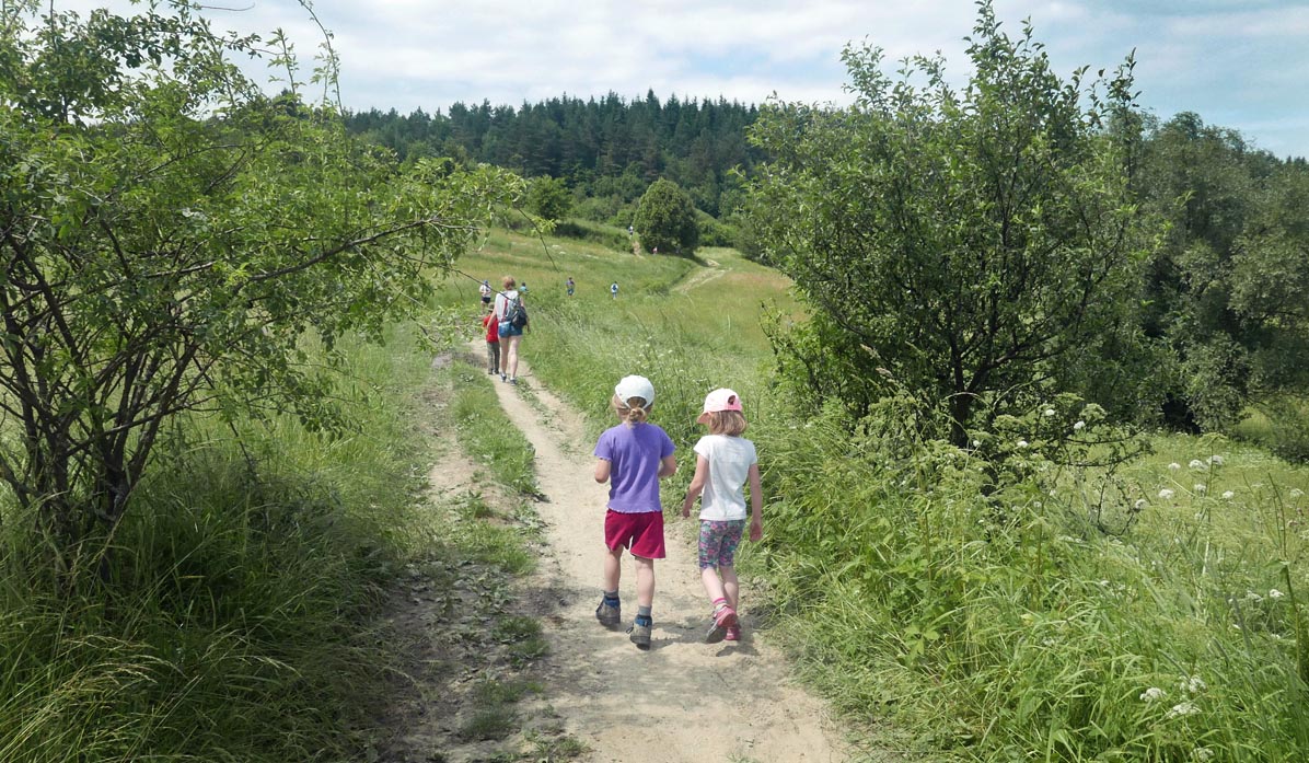 Field roads between Działek and Śliwnik (red and green trail)