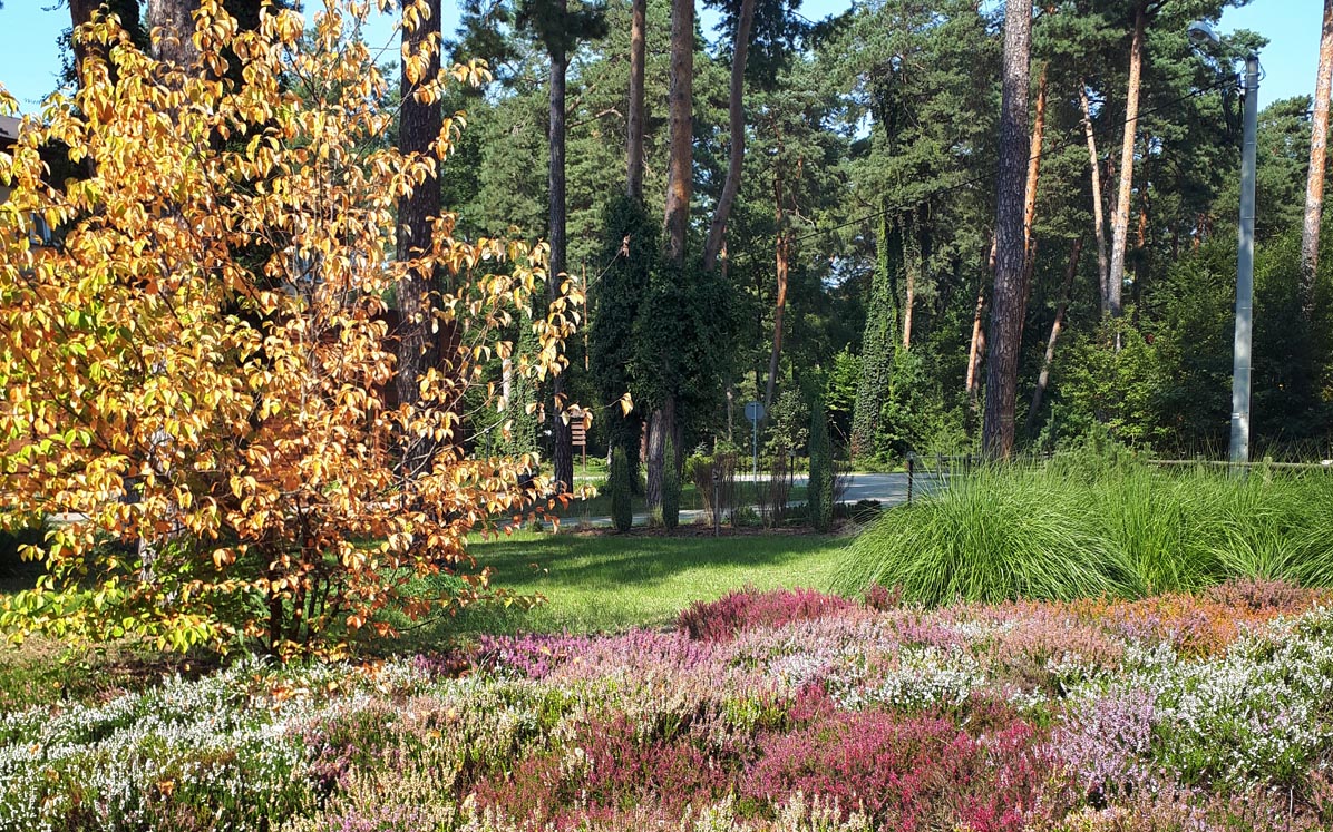 Arboretum Obrówka, Lasy Janowskie; fot. Marzi