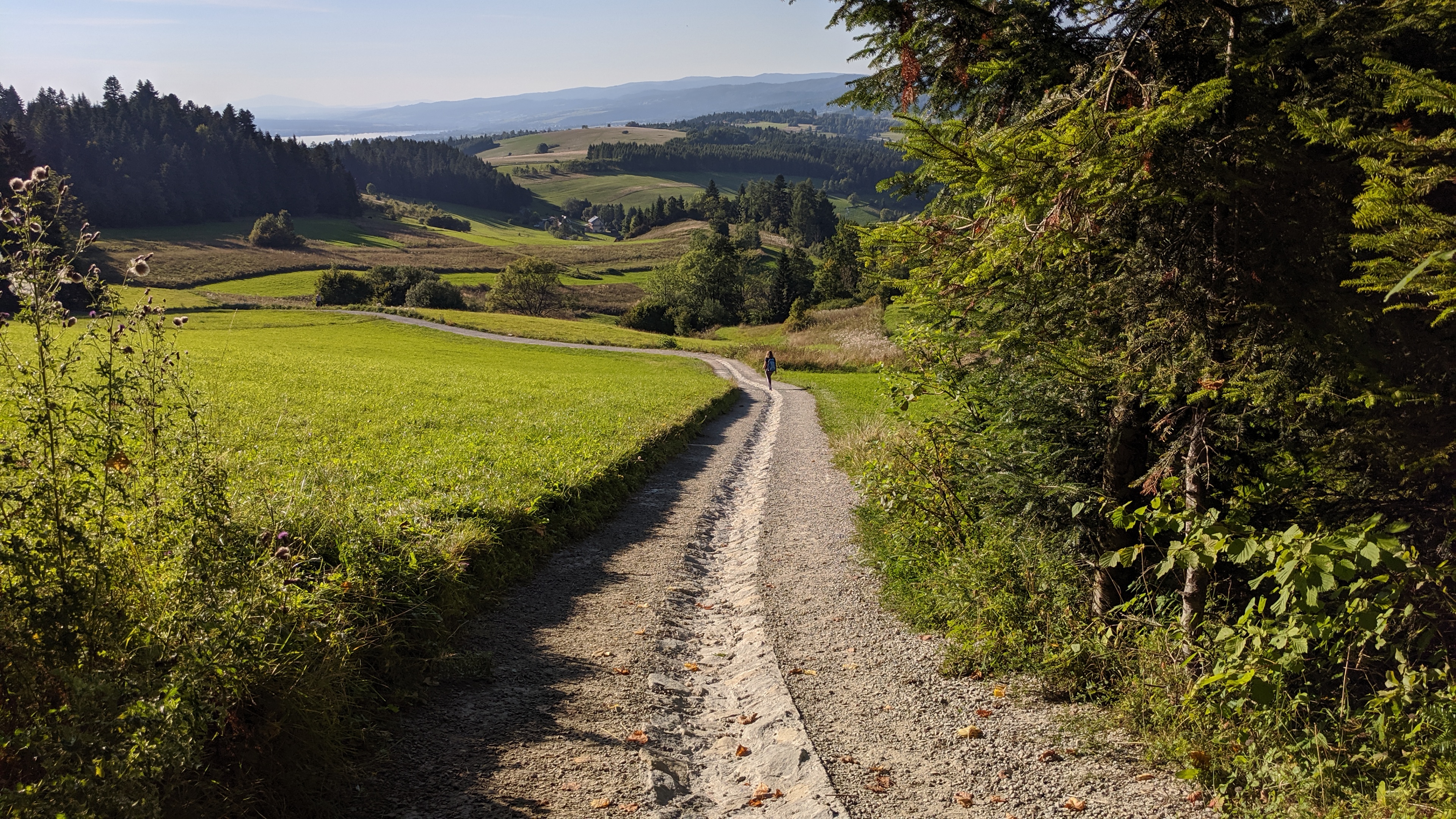 Przełęcz Sańba, za Czorsztynem
