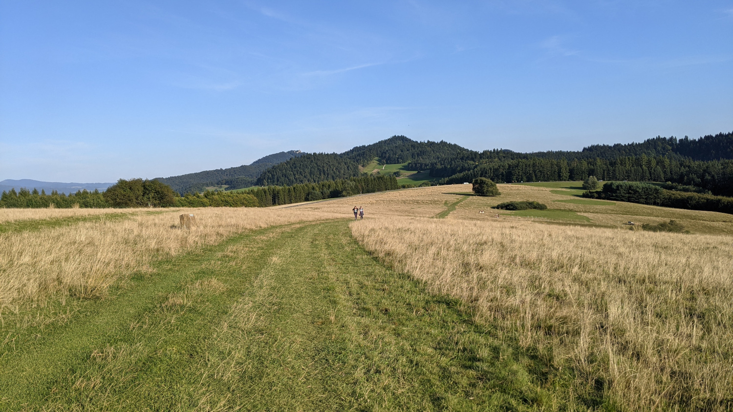 Polana Majerz - Czorsztyn