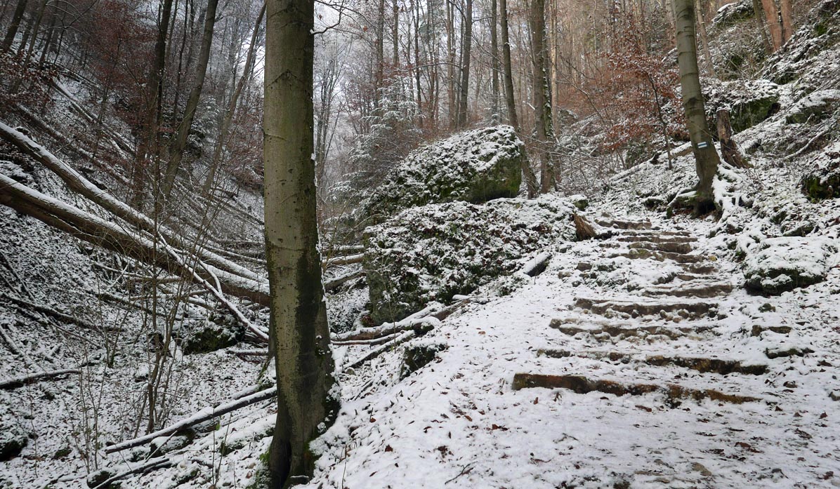 Czajowice - Ojców, czarny szlak: Wąwóz Ciasne Skałki