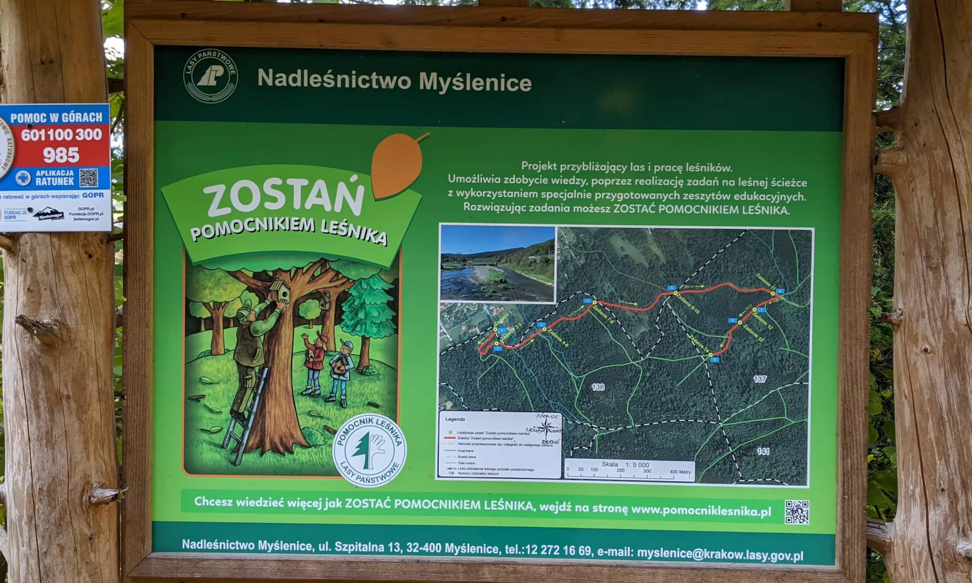 Zostań pomocnikiem leśnika