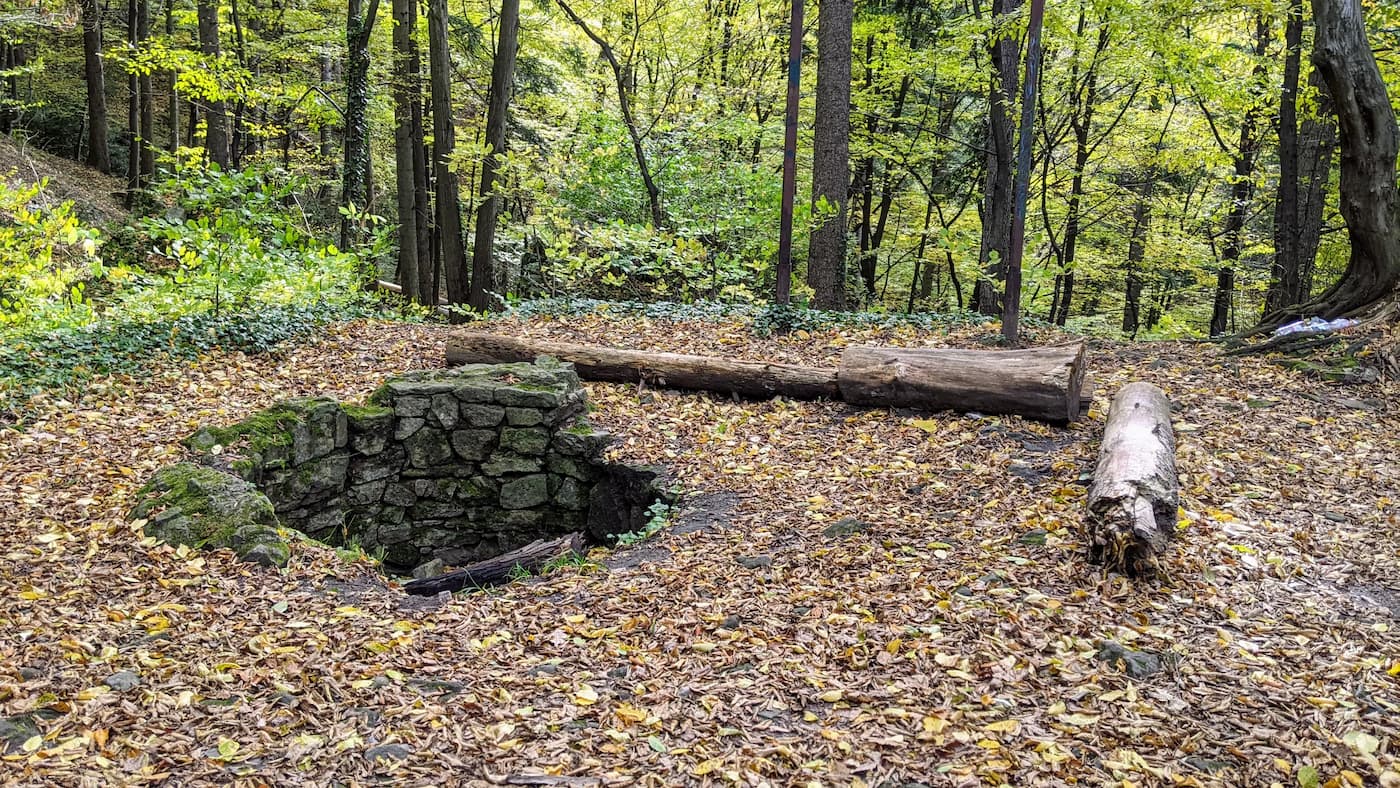 Z Myślenic na Kudłacze - rezerwat zamczysko