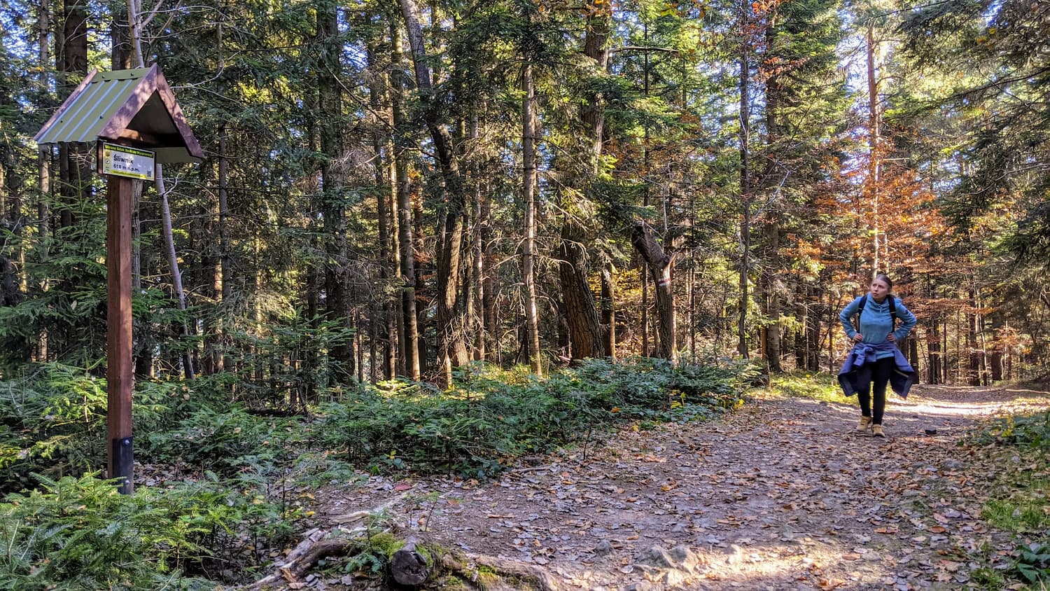Z Myślenic na Kudłacze - szczyt Śliwnik 618 m n.p.m.