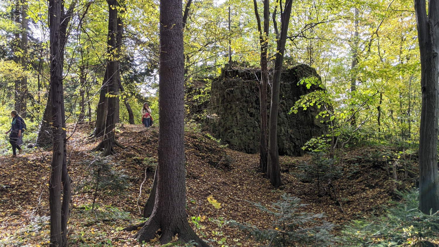 Rezerwat przyrody 