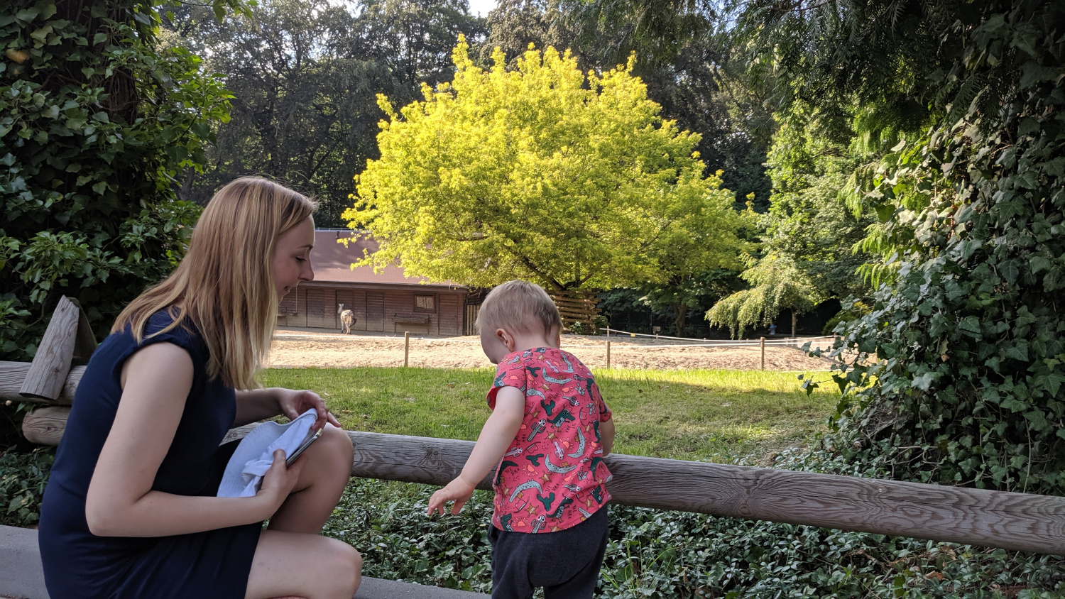 Zoo w Krakowie