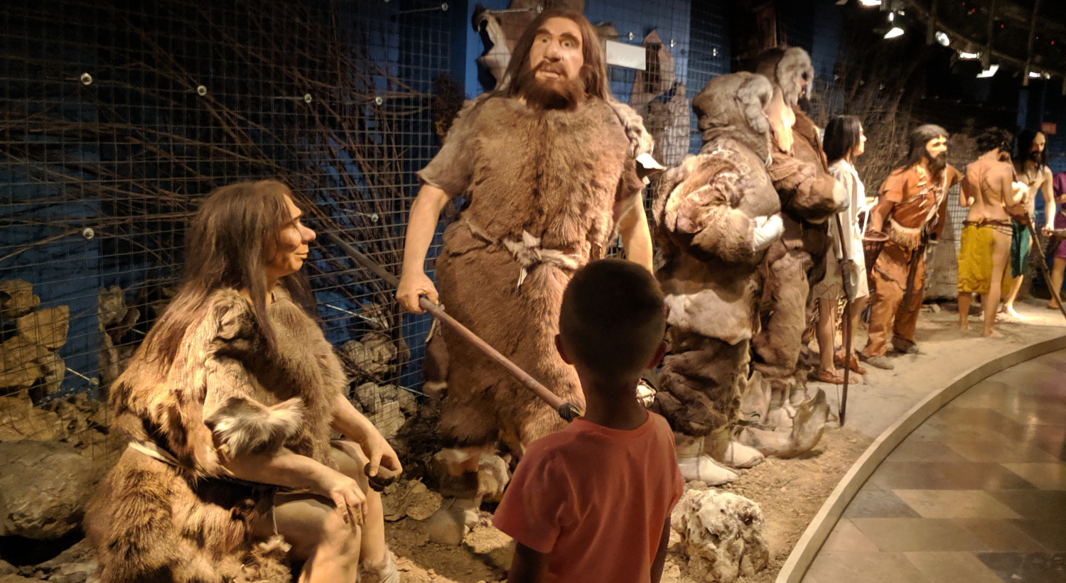 Muzeum Archeologiczne w Krakowie