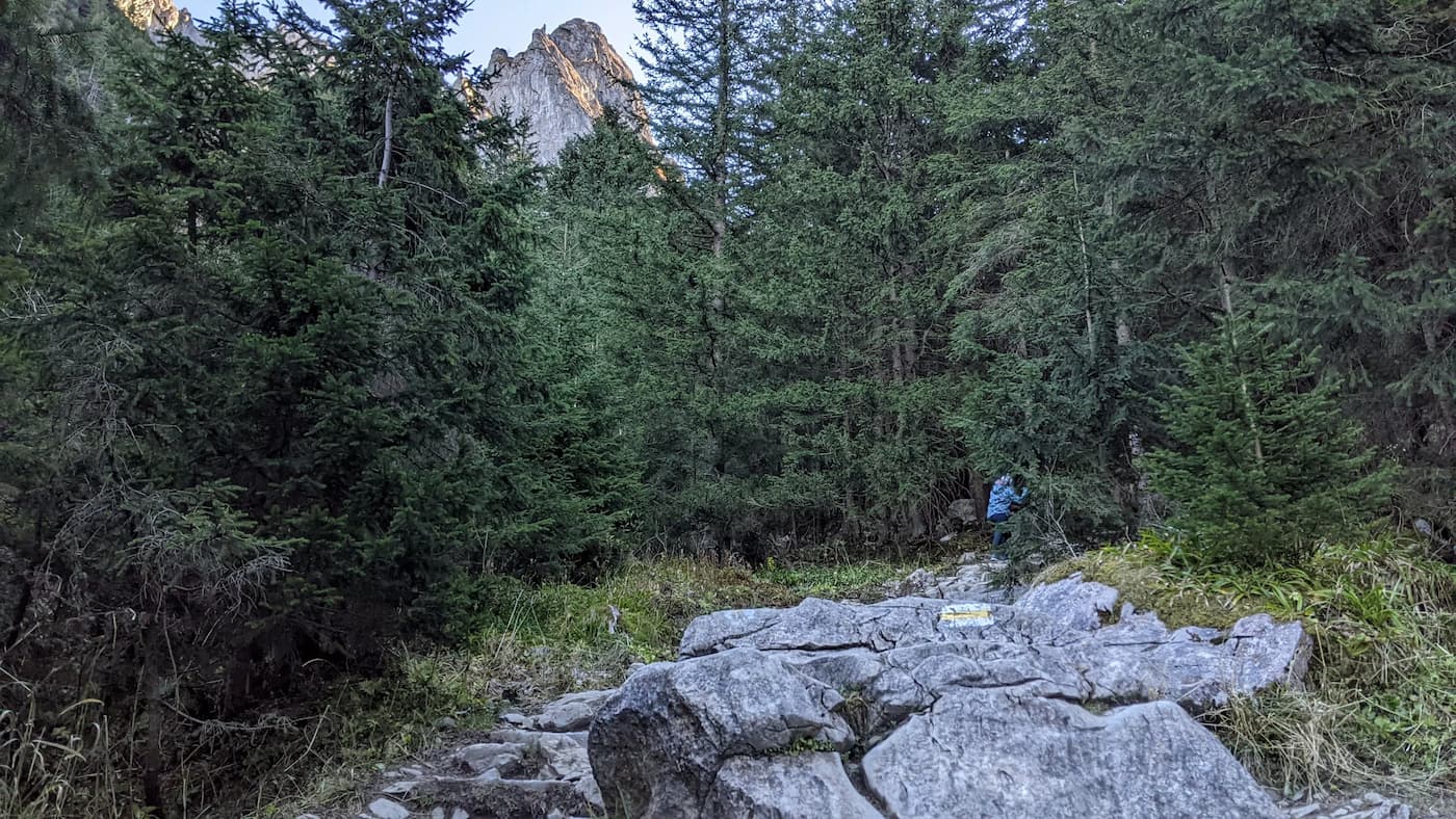 Podejście na Giewont - żółty szlak za Polaną Małej Łąki dnem Głazistego Żlebu