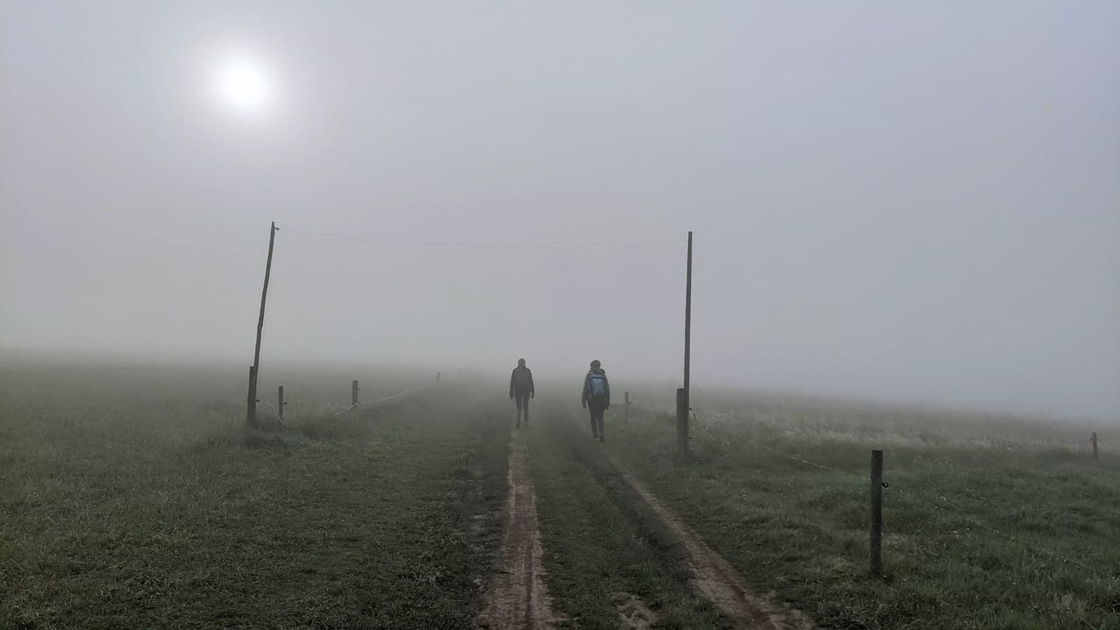 Polana Majerz - mgła
