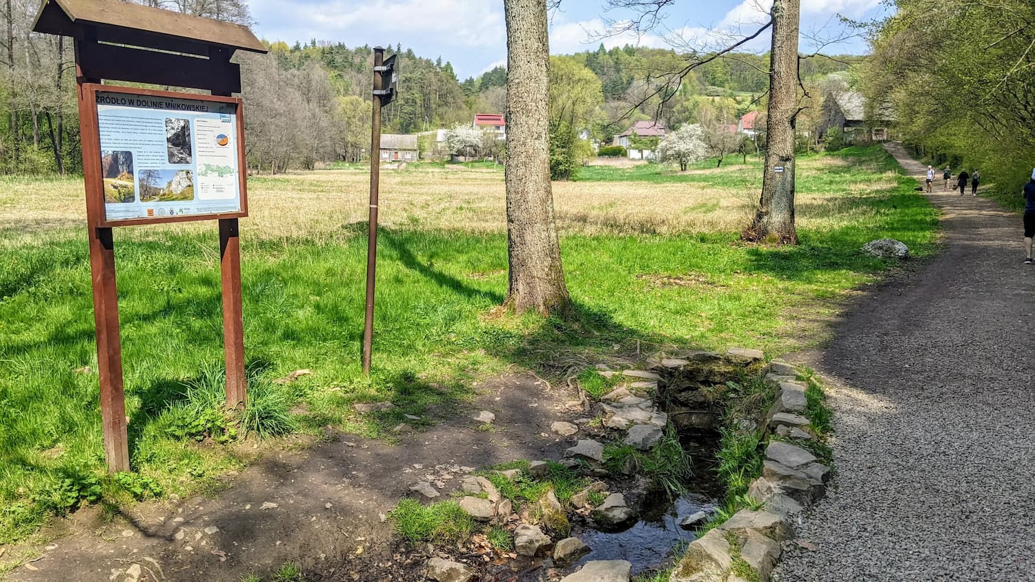 Żródło w Dolinie Mnikowskiej