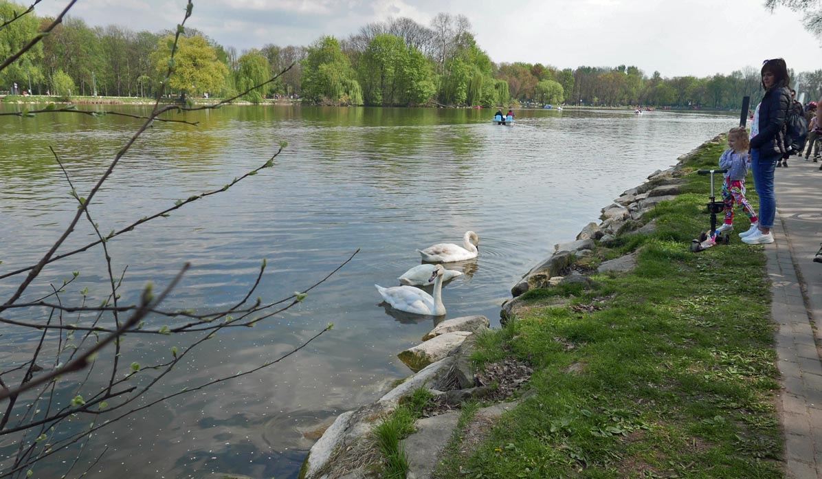 By the Nowa Huta Reservoir