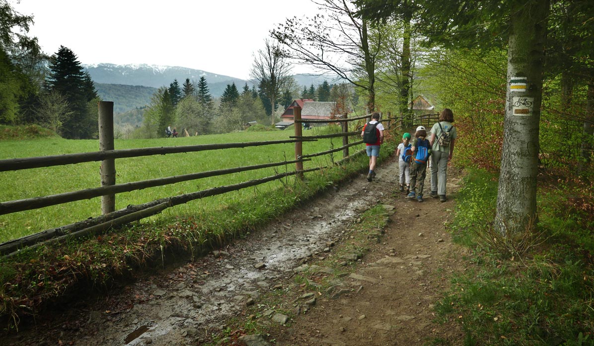 Przełęcz Kolędówki - view of Babia Góra